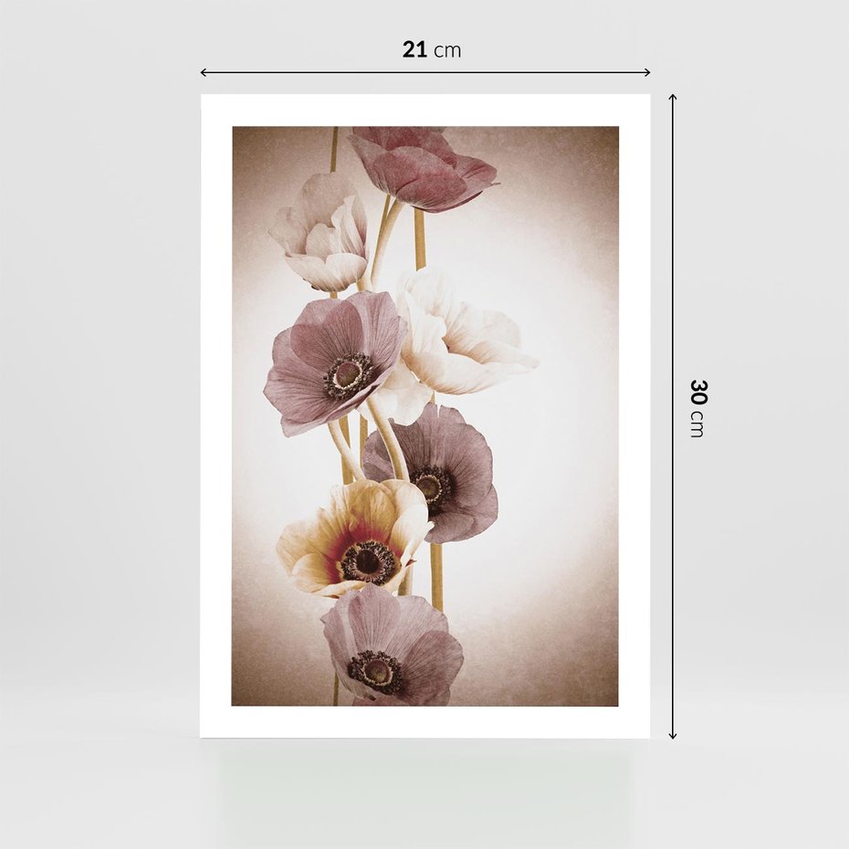 Plakat bez ramy 21x30 - Eksplozja kolorów - akwarela, maki