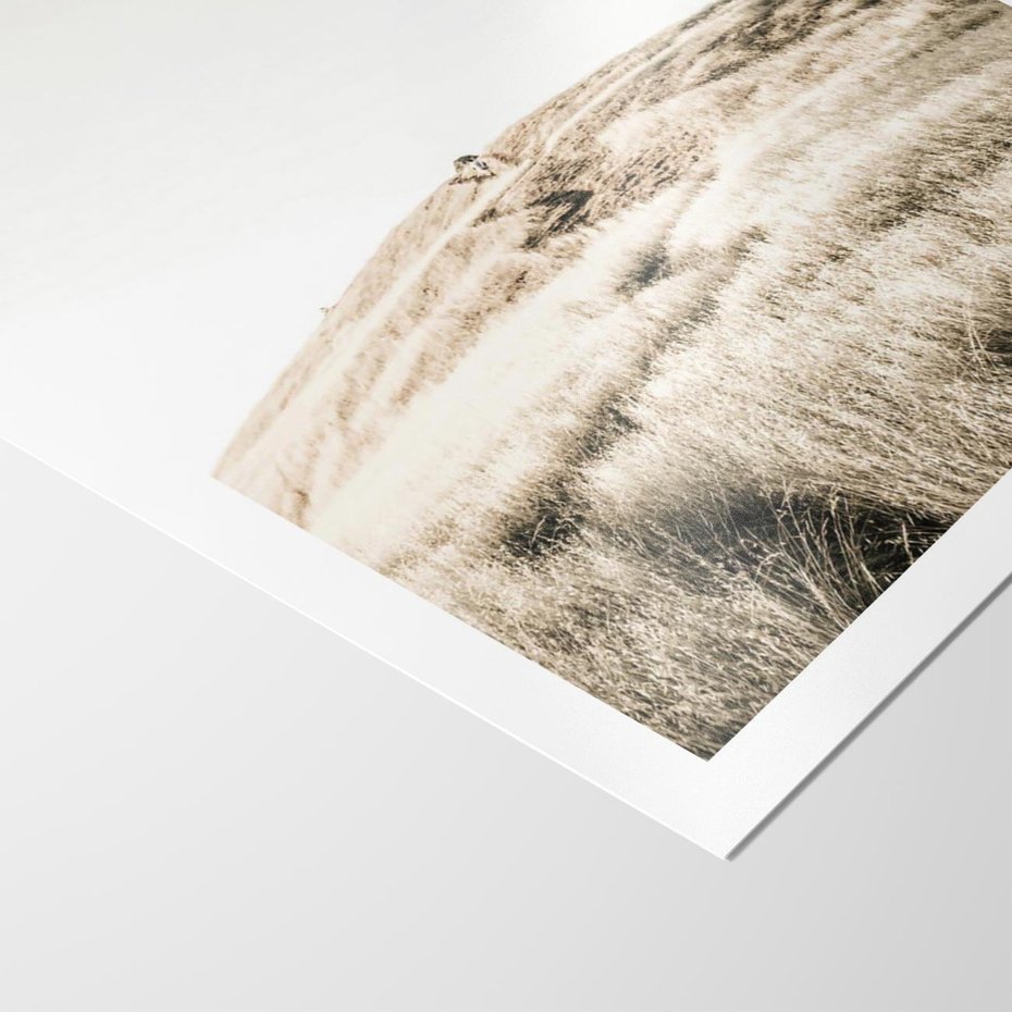 Plakat bez ramy 40x50 - Wzgórze w Odcieniach Sepii - wzgórze, trawy