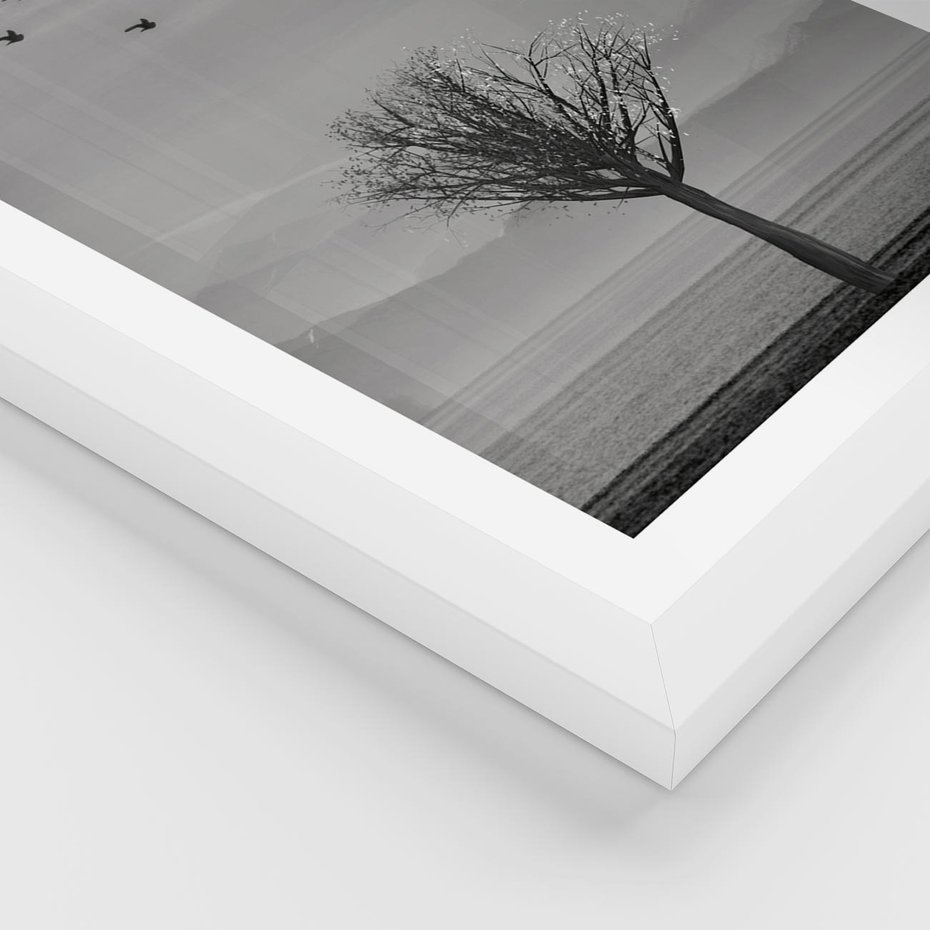 Plakat w ramie 50x70 - Samotne Drzewo - samotne drzewo w polu, czarno białe zdjęcie - rama biała