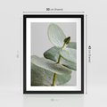 Plakat w ramie 30x40 - Eukaliptusowa zieleń - eukaliptus, zielone - rama czarna