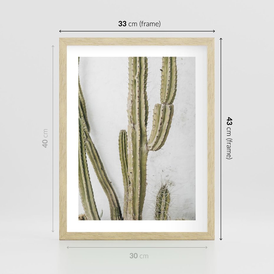 Plakat w ramie 30x40 - Kaktus w Stylu Boho - kaktus, roślina tropikalna - rama drewno