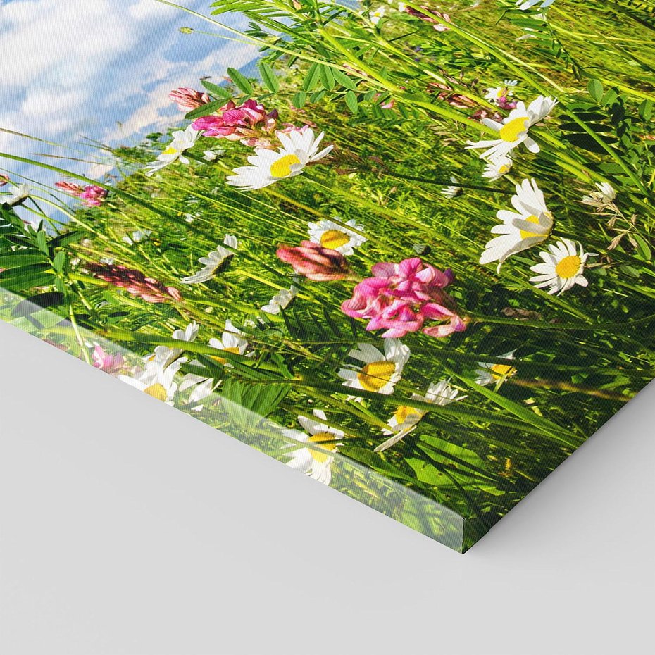 Obraz na płótnie 70x100 - Niebiańska łąka pełna kwiatów - łąka, niebo