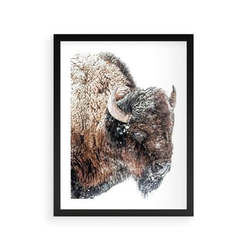 Plakat w ramie 40x50 - Obraz Dzikiej Przyrody w Śnieżnym Otoczeniu - żubr, śnieg - rama czarna
