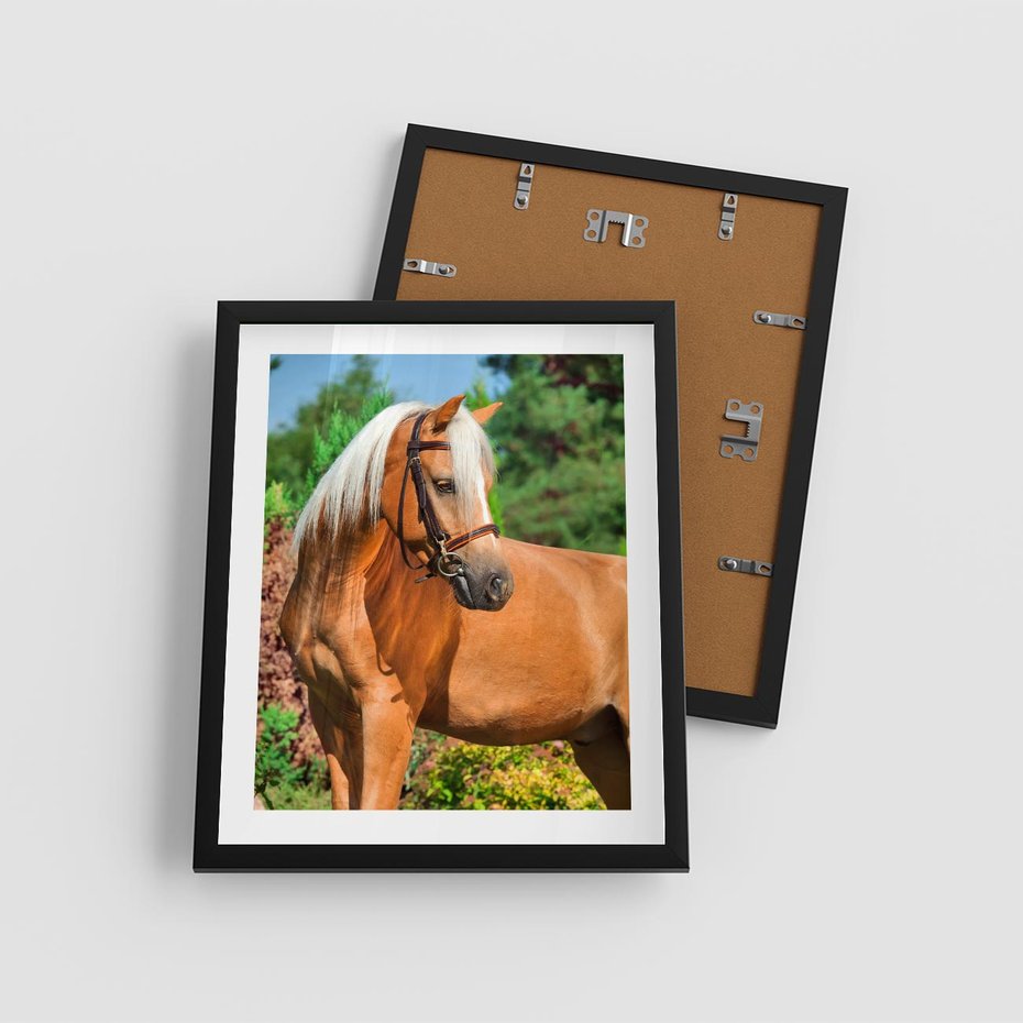 Plakat w ramie 40x50 - Elegancki wierzchowiec - koń, portret - rama czarna
