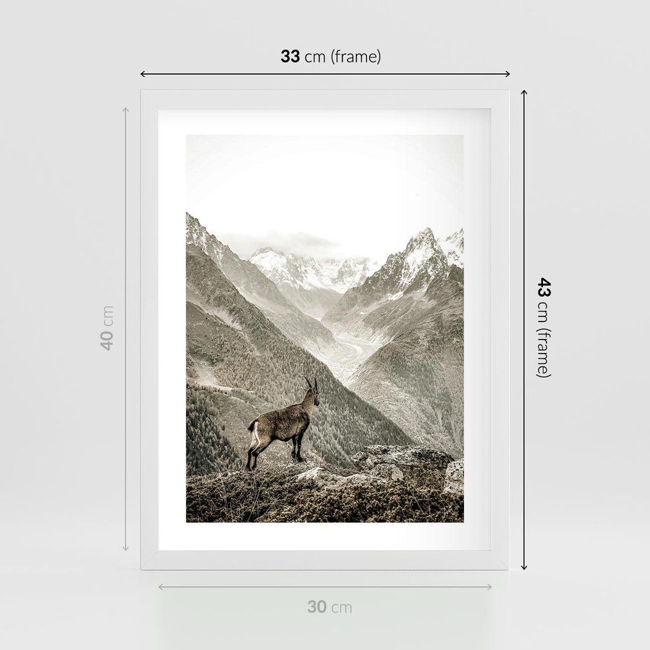 Plakat w ramie 30x40 - Dzikie Piękno: Kozica w Malowniczym Górskim Scenerii - kozica, góry - rama biała