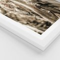 Plakat w ramie 50x70 - Retro Pole Kukurydzy - retro zdjęcie, sepia - rama biała