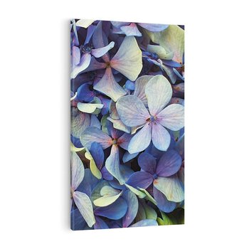Obraz na płótnie 70x100 - Hortensja - delikatność kwiatów - hortensja, kwiaty