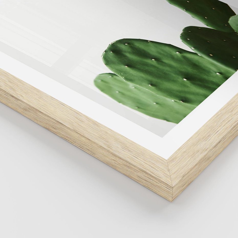 Plakat w ramie 30x40 - Minimalizm Natury - kaktus, zbliżenie - rama drewno