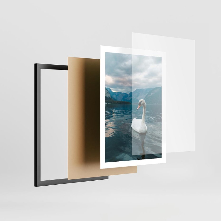 Plakat w ramie 50x70 - Łabędzi Śpiew - fotografia, plakat - rama czarna