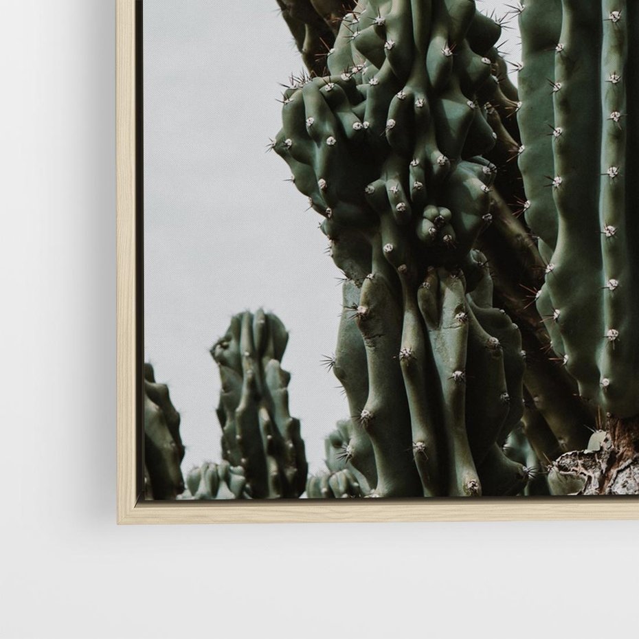 Obraz w ramie 80x80 - Boho oaza wśród kaktusów - kaktusy, pustynia - rama drewno