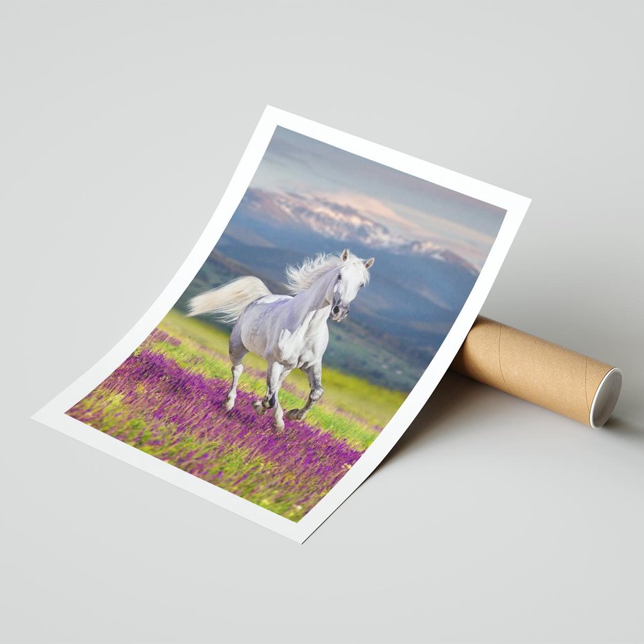 Plakat bez ramy 21x30 - Koń Góry: Spotkanie z Wielką Przyrodą - koń, góry