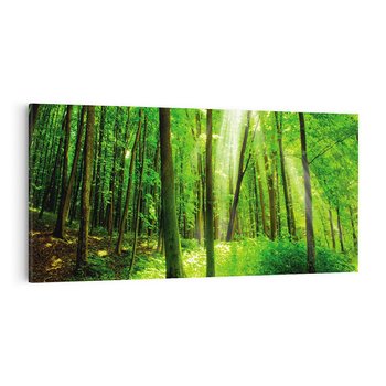 Obraz na płótnie 120x60 - Spacer po urokliwej dróżce w lesie - las, dróżka