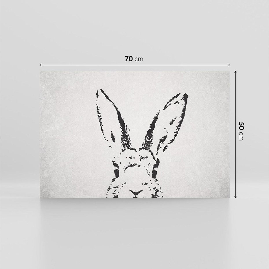 Obraz na płótnie 70x50 - Szkicowany królik w grafice - szkic, królik