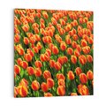 Obraz na płótnie 70x70 - Tulipanowa eksplozja - tulipany, kwiaty