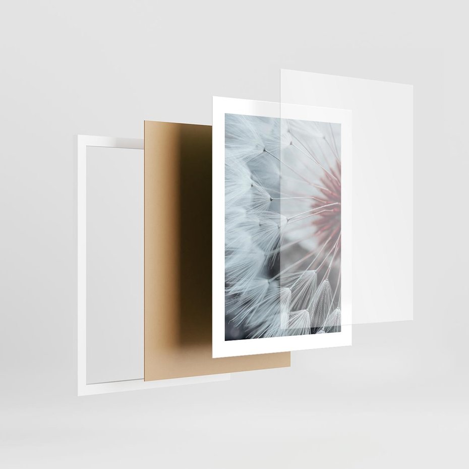 Plakat w ramie 30x40 - Makro Magii Natury - dmuchawiec, zbliżenie makro - rama biała