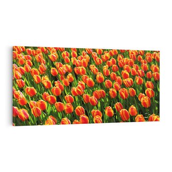 Obraz na płótnie 140x70 - Urok tulipanów piękno kwiatów - tulipany, kwiaty