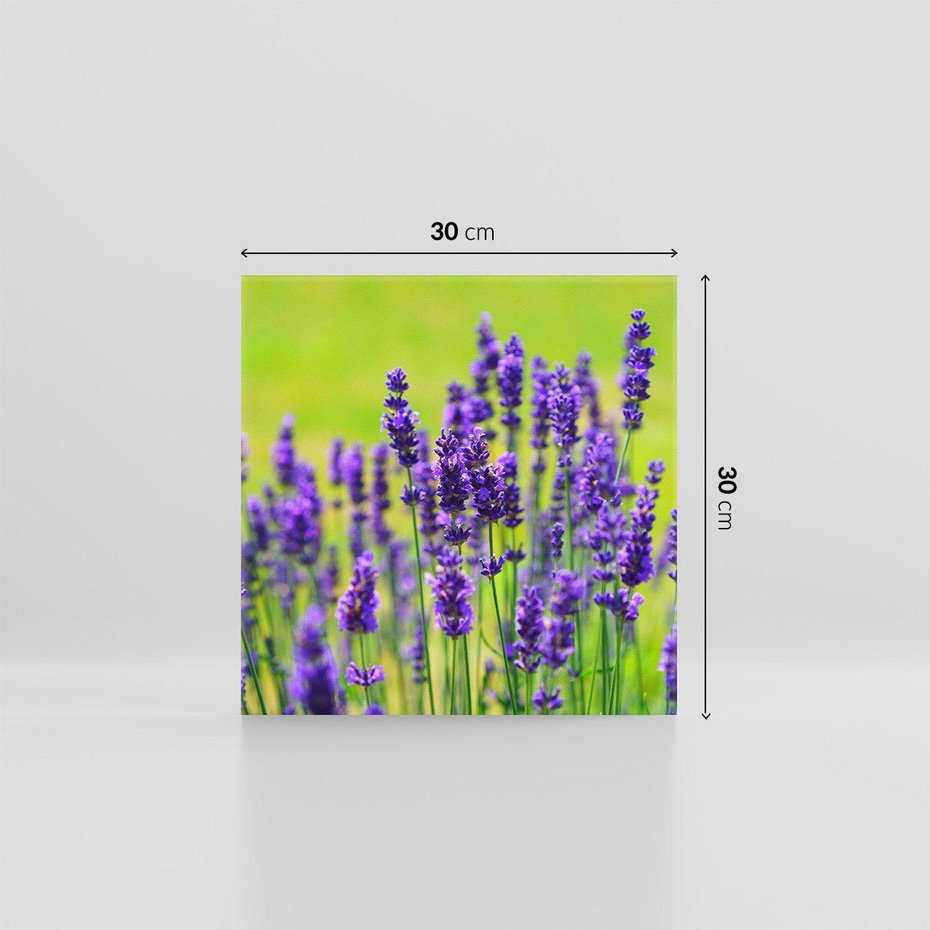 Obraz na płótnie 30x30 - Lawenda w naturze - lawenda, kwiaty