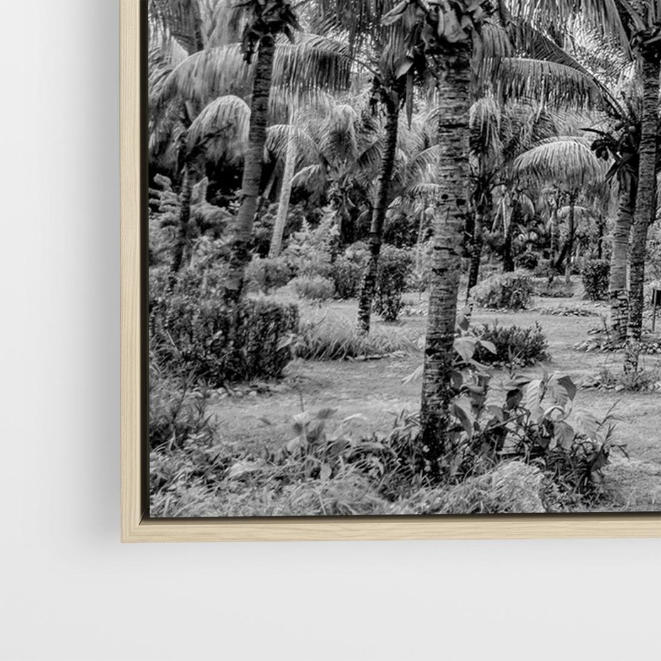 Obraz w ramie 120x80 - Mroczna Ścieżka Tropików - czarno biała fotografia, ścieżka pośród palm - rama drewno