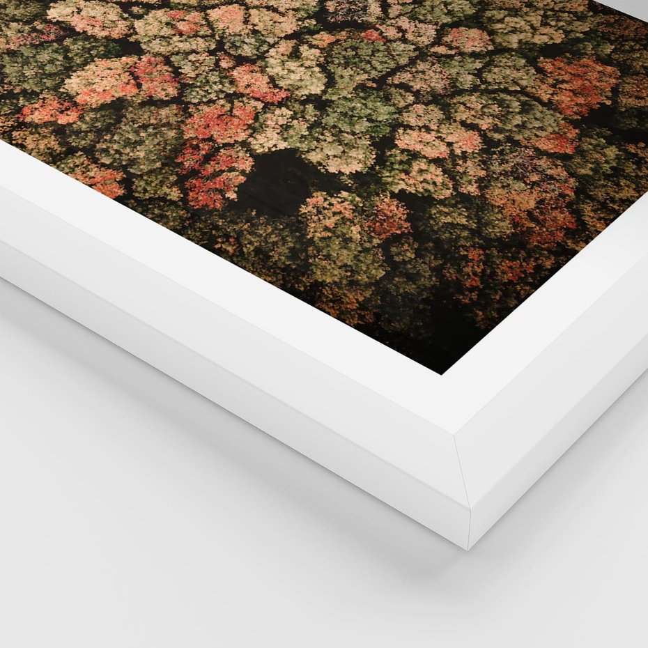 Plakat w ramie 50x70 - Jesień z Lotu Ptaka: Malowniczy Las - las jesienią z lotu ptaka - rama biała