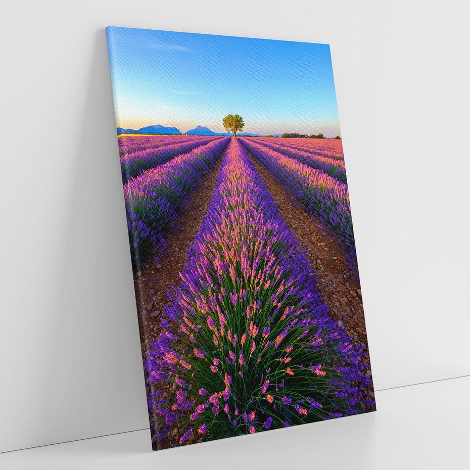 Obraz na płótnie 70x100 - Fioletowa Magia - pole, lawendy