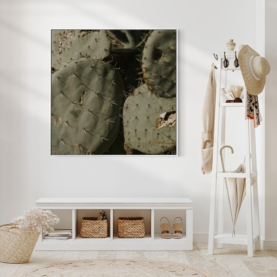 Obraz w ramie 50x50 - Urok Egzotyki - kaktusy, boho - rama biała