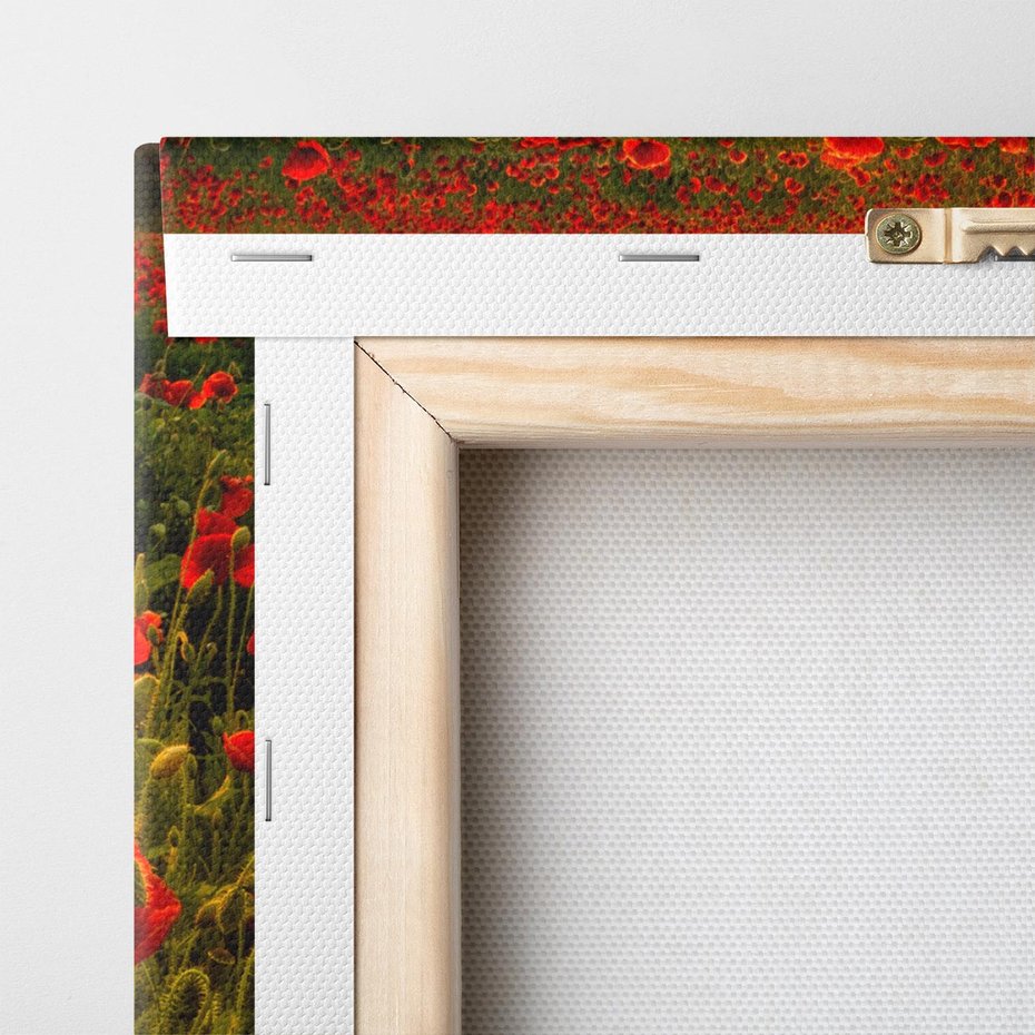 Obraz na płótnie 70x70 - Maki przy zachodzie słońca - maki, zachód