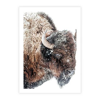 Plakat bez ramy 40x50 - Obraz Dzikiej Przyrody w Śnieżnym Otoczeniu - żubr, śnieg