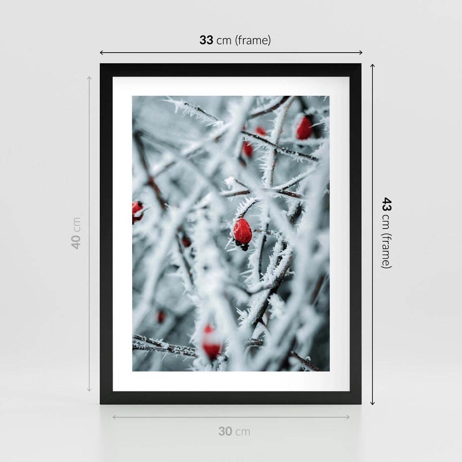 Plakat w ramie 30x40 - Zima na Gałęziach - zima, oszronione gałęzie - rama czarna
