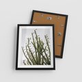 Plakat w ramie 40x50 - Ekskluzywna Roślinność - kaktusy, liście - rama czarna