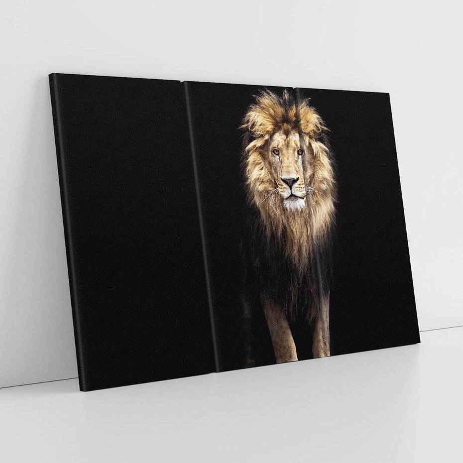 Obraz na płótnie 120x80 - Lew: dzikie piękno natury - lew, dzikie