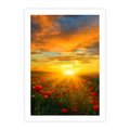 Plakat bez ramy 50x70 - Magia zachodu słońca na łące z makami - łąka, zachód słońca