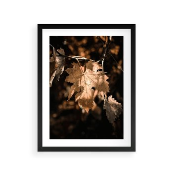 Plakat w ramie 30x40 - Uroczy Liść na Drzewie - jesienny liść, żółty liść na drzewie - rama czarna