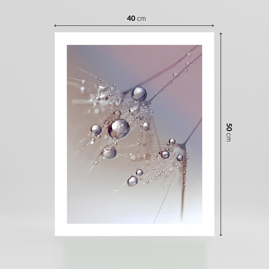 Plakat bez ramy 40x50 - Delikatne Natchnienie - krople, dmuchawce
