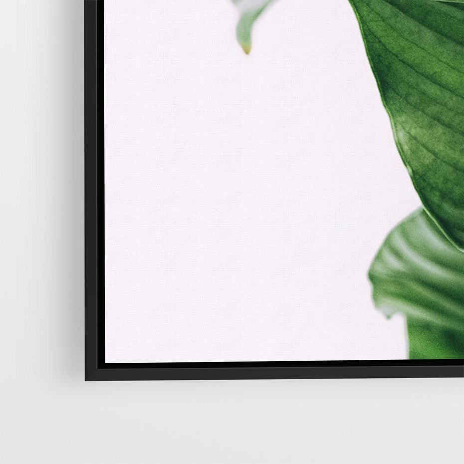 Obraz w ramie 70x50 - Zielone liście monstery - liście, monstera - rama czarna