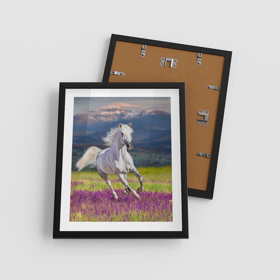 Plakat w ramie 40x50 - Koń Góry: Spotkanie z Wielką Przyrodą - koń, góry - rama czarna