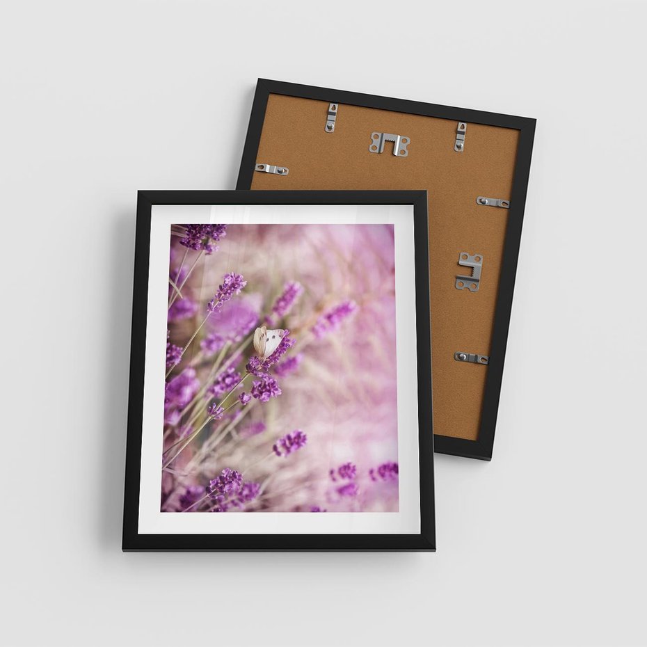 Plakat w ramie 40x50 - Majestat lawendy: fioletowe pola - lawenda, fiolet - rama czarna