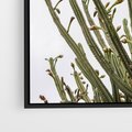 Obraz w ramie 50x70 - Ekskluzywna Roślinność - kaktusy, liście - rama czarna