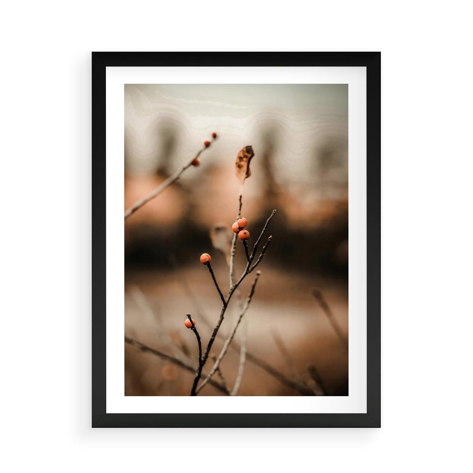 Plakat w ramie 50x70 - Jarzębina w Pejzażu - jesień, gałązka - rama czarna
