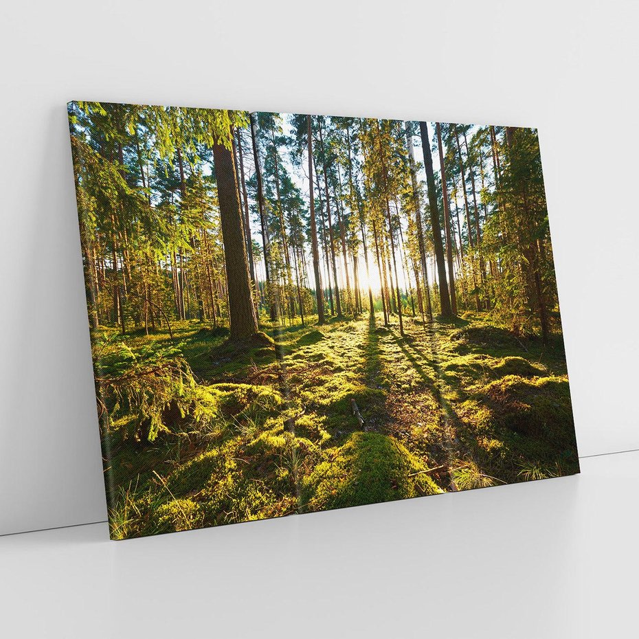 Obraz na płótnie 120x80 - Obfitość natury - las, drzewa