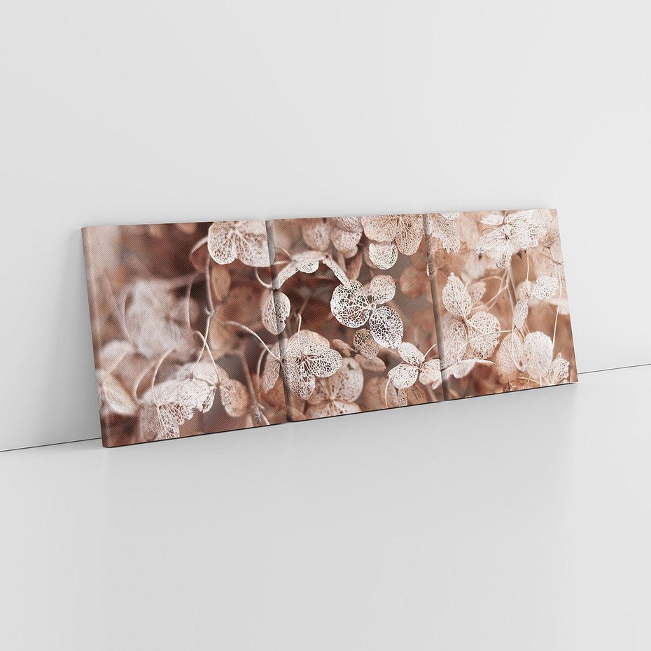 Obraz na płótnie 120x40 - Przemijająca Piękność - fotografia, zbliżenie