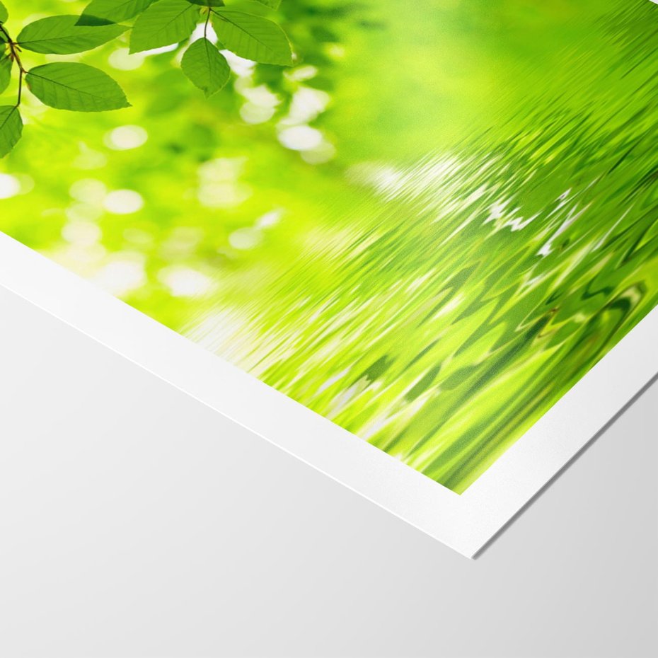 Plakat bez ramy 30x40 - Liście w Wodzie - liście, woda