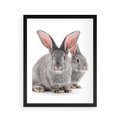Plakat w ramie 40x50 - Uroczy królik wśród natury - królik, zając - rama czarna