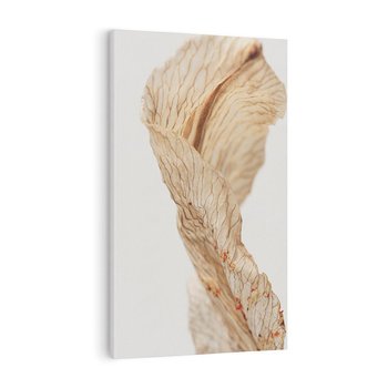 Obraz na płótnie 80x120 - Suszone piękno - susz, suche