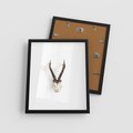 Plakat w ramie 40x50 - Minimalistyczne Poroże Jelenia - poroże jelenia na ścianie, minimalizm - rama czarna