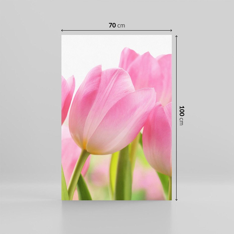 Obraz na płótnie 70x100 - Kwiaty w pełnym rozkwicie - kwiat, Kwiaty