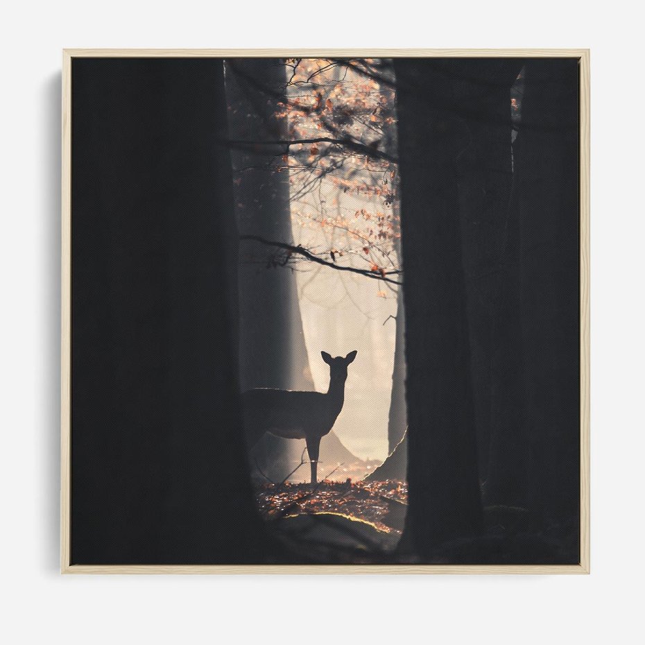 Obraz w ramie 80x80 - Sarnie Skoki - zdjęcie, klimatyczny las - rama drewno