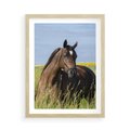 Plakat w ramie 50x70 - Siła i piękno natury - koń, łąka - rama drewno