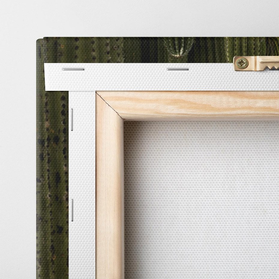 Obraz na płótnie 150x50 - Wyjątkowy Klimat Boho - kaktusy, pustynia