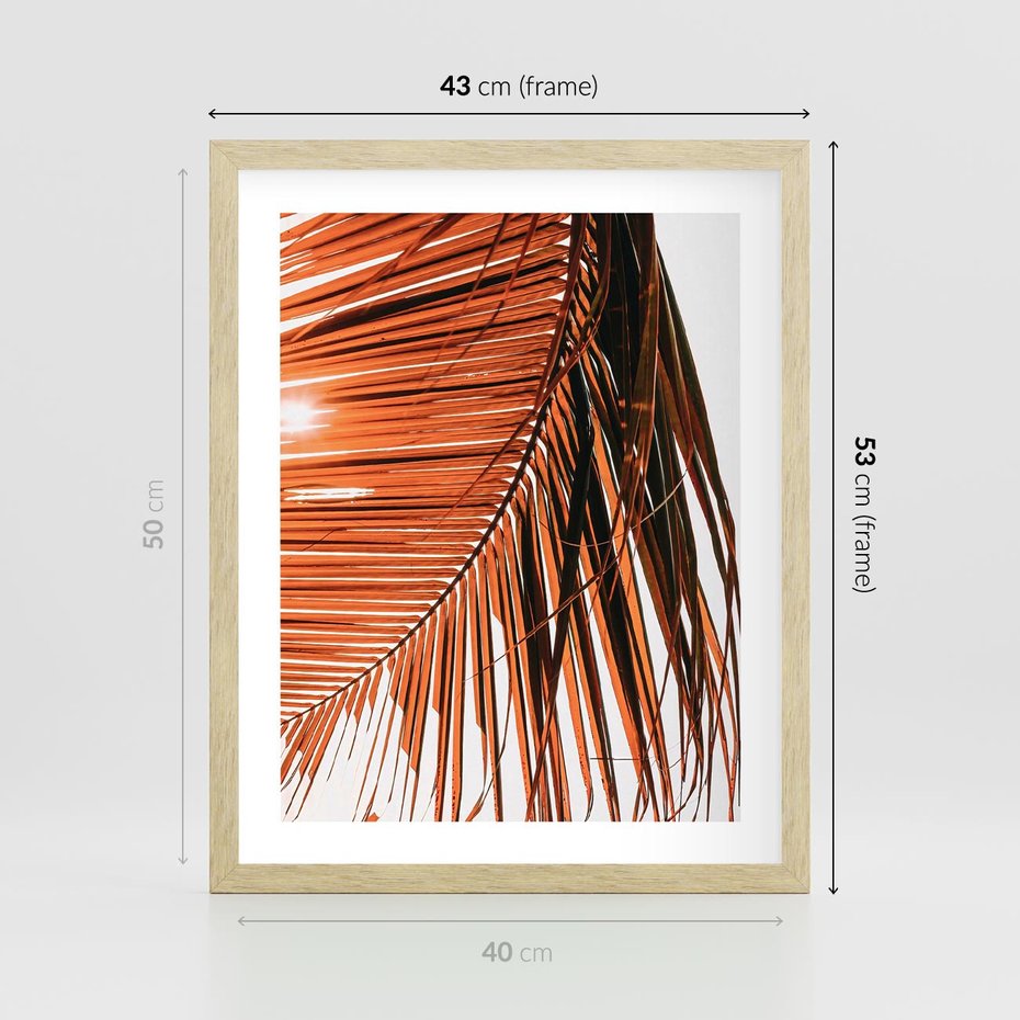 Plakat w ramie 40x50 - Słońce na Palmie - palma, promienie słońca - rama drewno