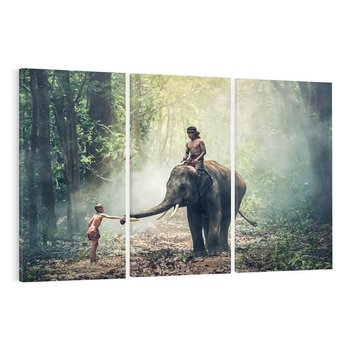 Obraz na płótnie 120x80 - Mistyfikacja w azjatyckim lesie - Azja, słoń